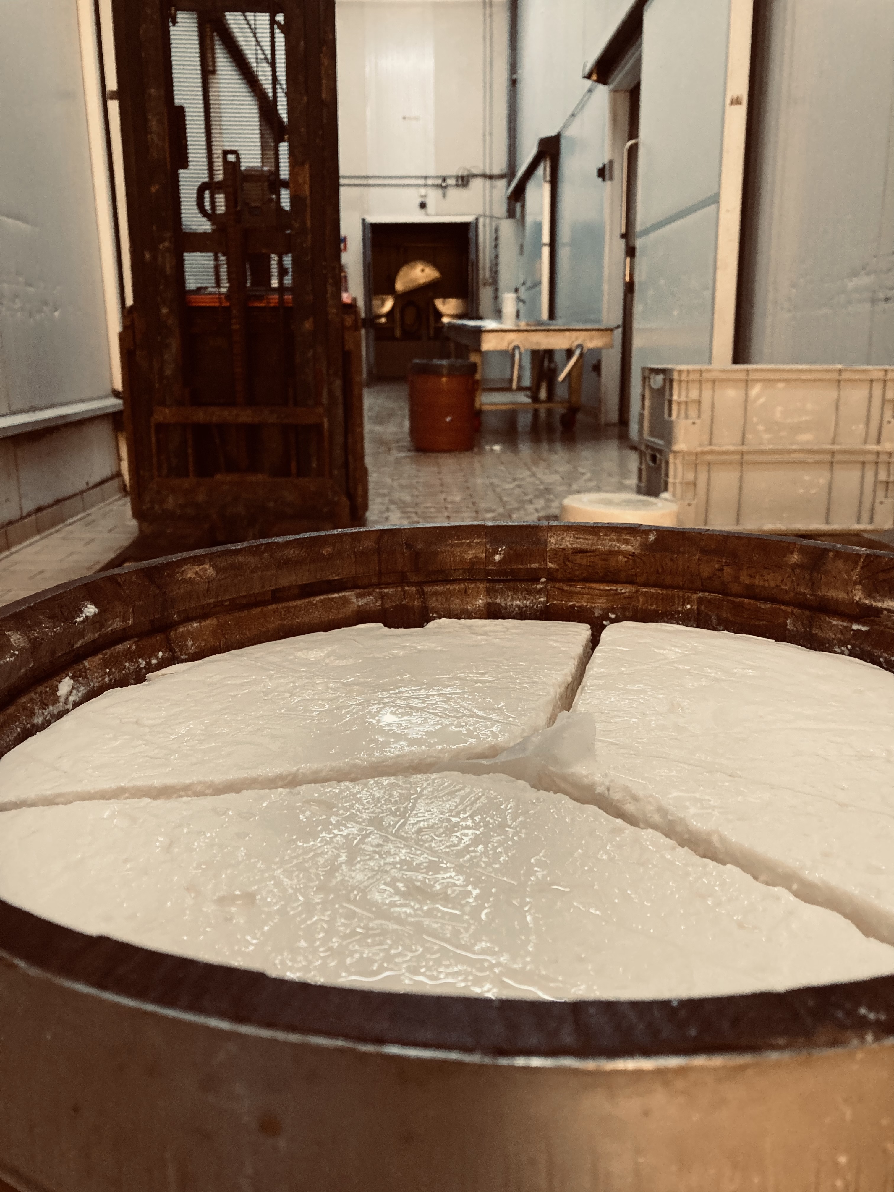 Εσωτερικές εγκαταστάσεις τυροκομείου ΕΛΑΤΟΣ