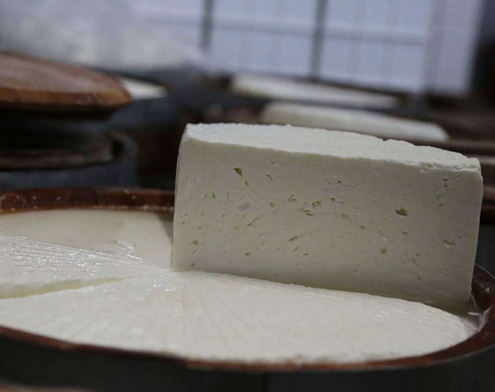 Παραγωγή τυριού στο τυροκομείο ΕΛΑΤΟΣ